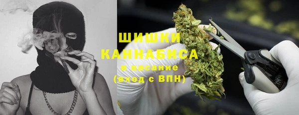 МДПВ Одинцово
