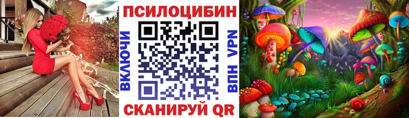 Псилоцибиновые грибы MAGIC MUSHROOMS  купить  цена  Старый Оскол 