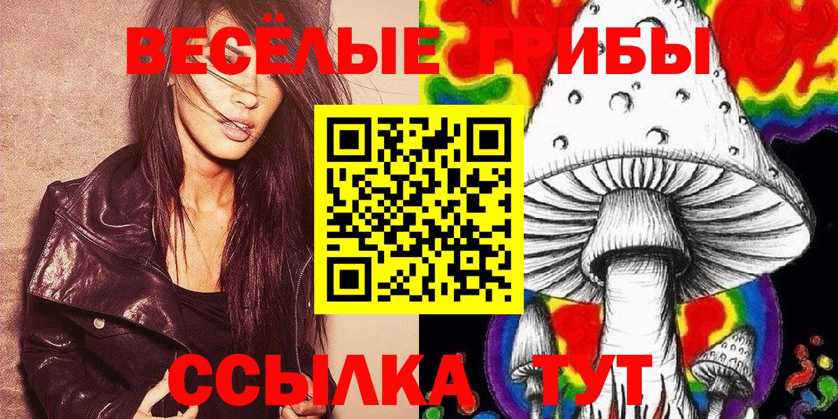 Псилоцибиновые грибы Psilocybine cubensis  Галлюциногенные грибы прущие грибы  Вход с VPN  Старый Оскол 