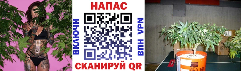 Конопля White Widow  дарнет шоп  Старый Оскол 